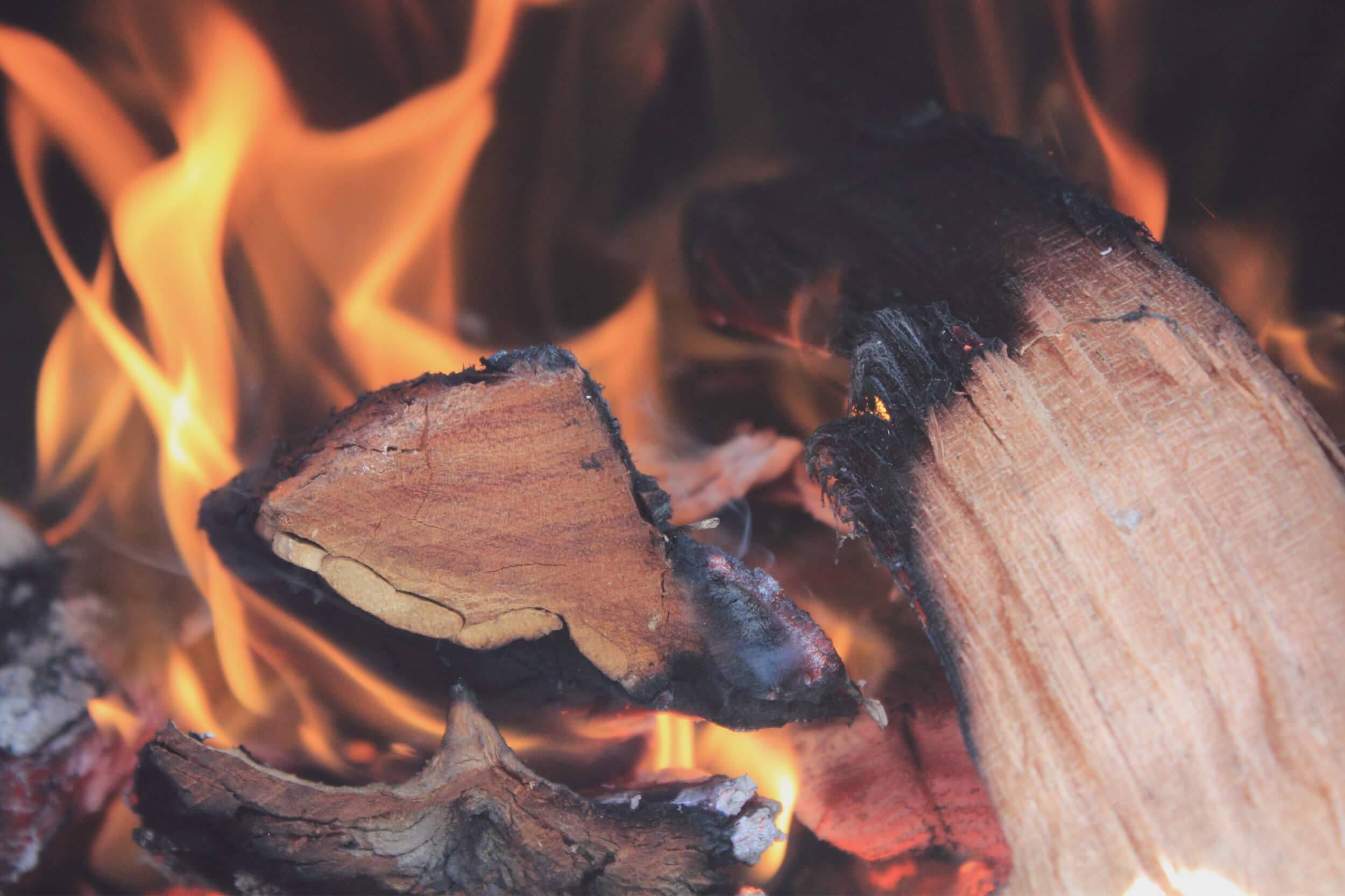 Wood burning stove tips | Scan