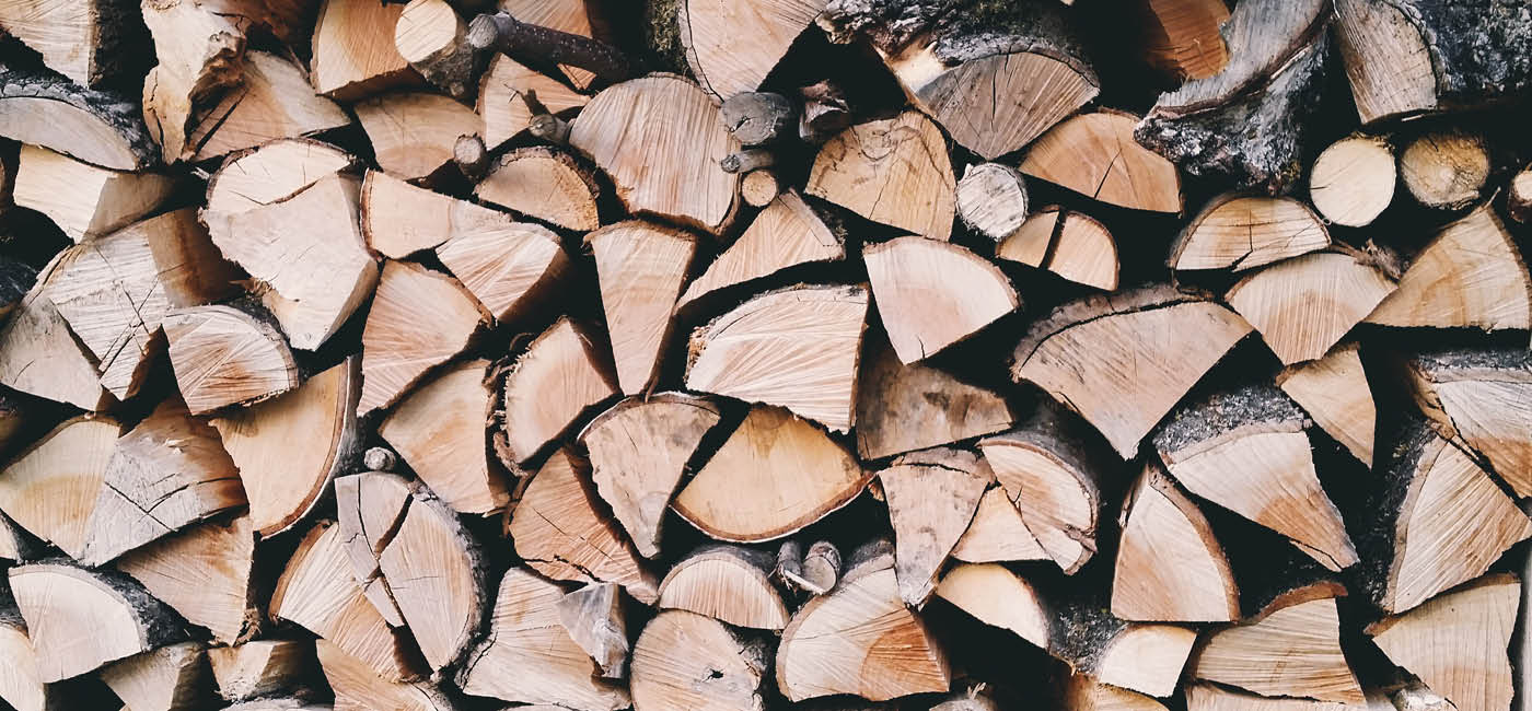 What Type Of Wood Should I Use In My Fireplace? - Seasoned Dry Wood